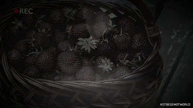 Страшные истории на ночь - Бабушка отре ающая головы...