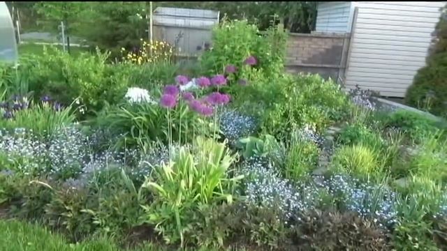 Создаем цветник из многолетников. С чего начать?