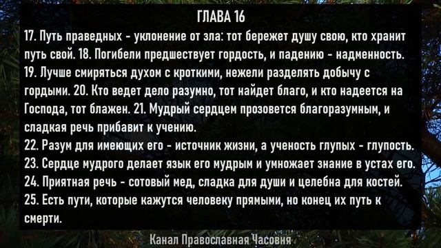 Все притчи Царя Соломона! Книга Притчей Соломоновых - слушать аудио