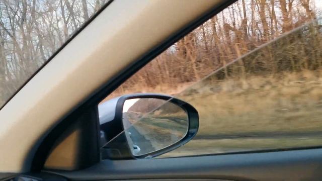 охота на утку с псп пневматикой 6.35 и как искать новые места