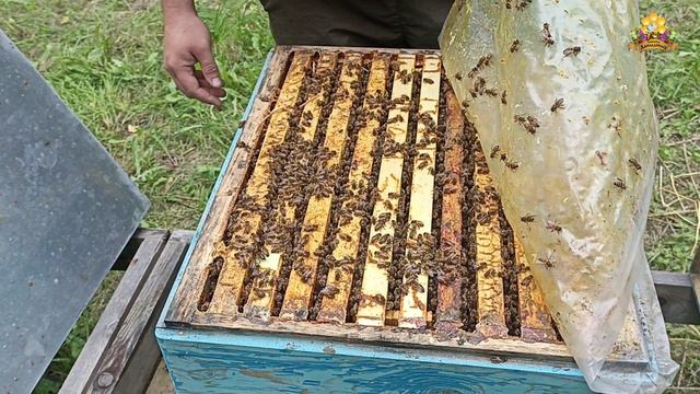 Начало нового сезона. Часть 1
