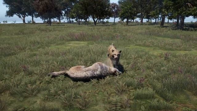 All Animals Fighting Animations: Far Cry 4 (REMAKE)