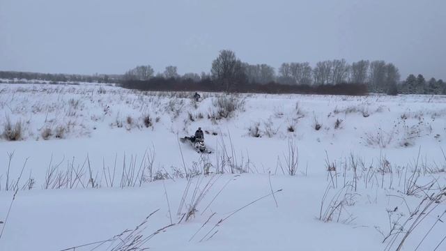 Зимняя охота на снегоходах brp ski-doo bearcat