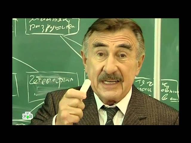 "Следствие вели...": "Сердце матери"
