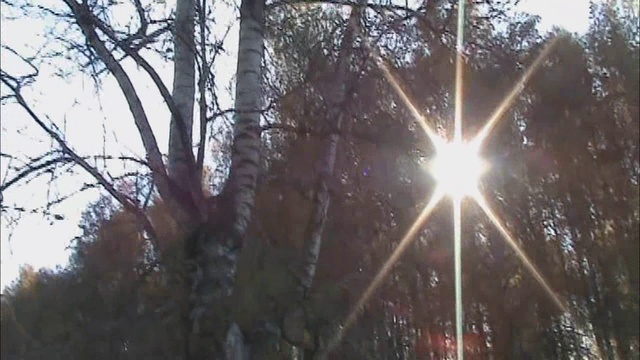 Олег Пахомов Туманы 2010