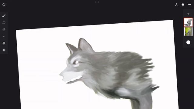 3 крутых способа обработки шерсти животных Wild Craft
