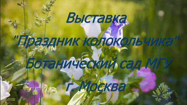 Ботанический сад mpeg4