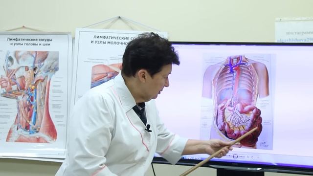 Как очистить кишечник. [Шишова О.И.]