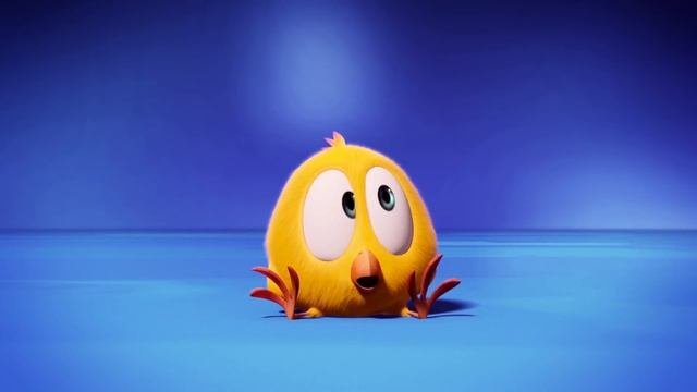 Where's Chicky? Funny Chicky 2020 | CHICKY PIG | Chicky Cartoon in English for Kids