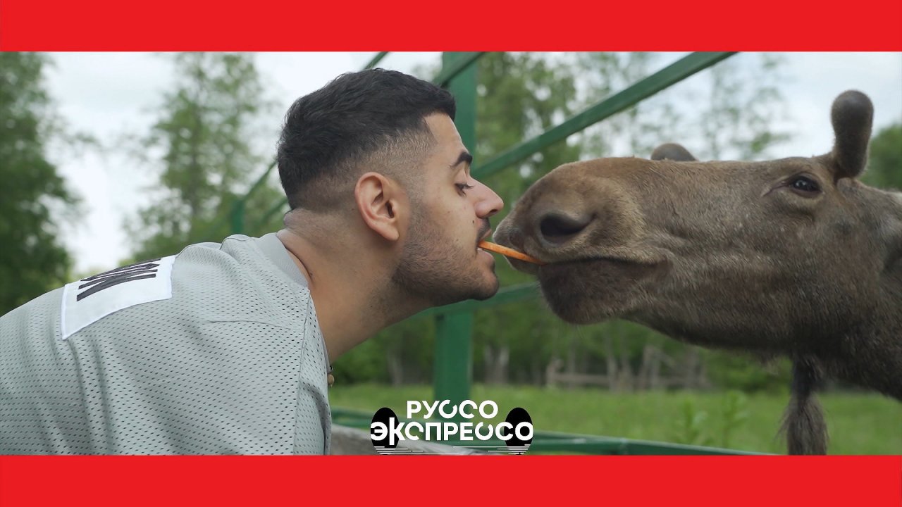 Руссо Экспрессо: Ярославль