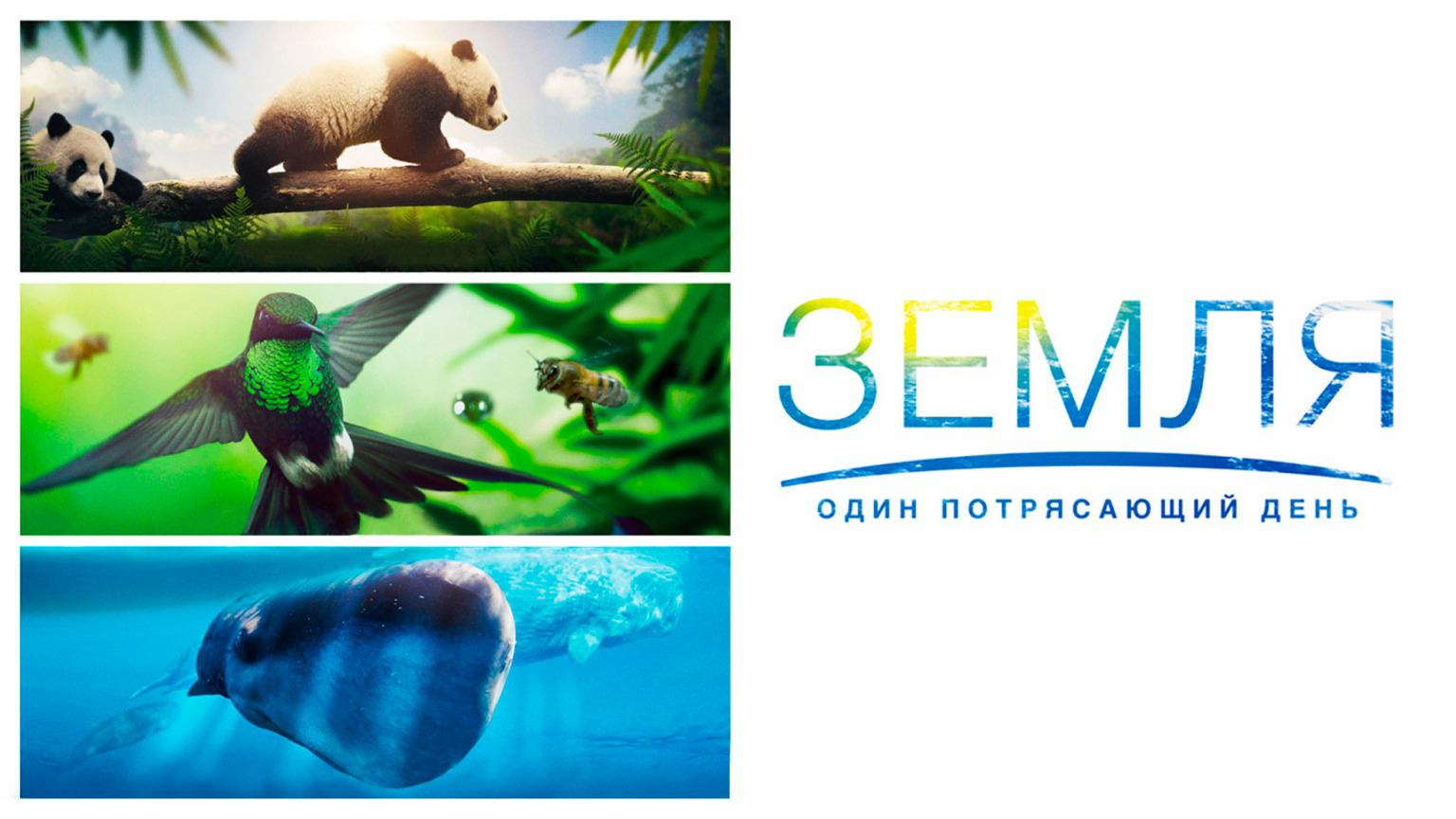 Земля: Один потрясающий день / Earth: One Amazing Day (2017)