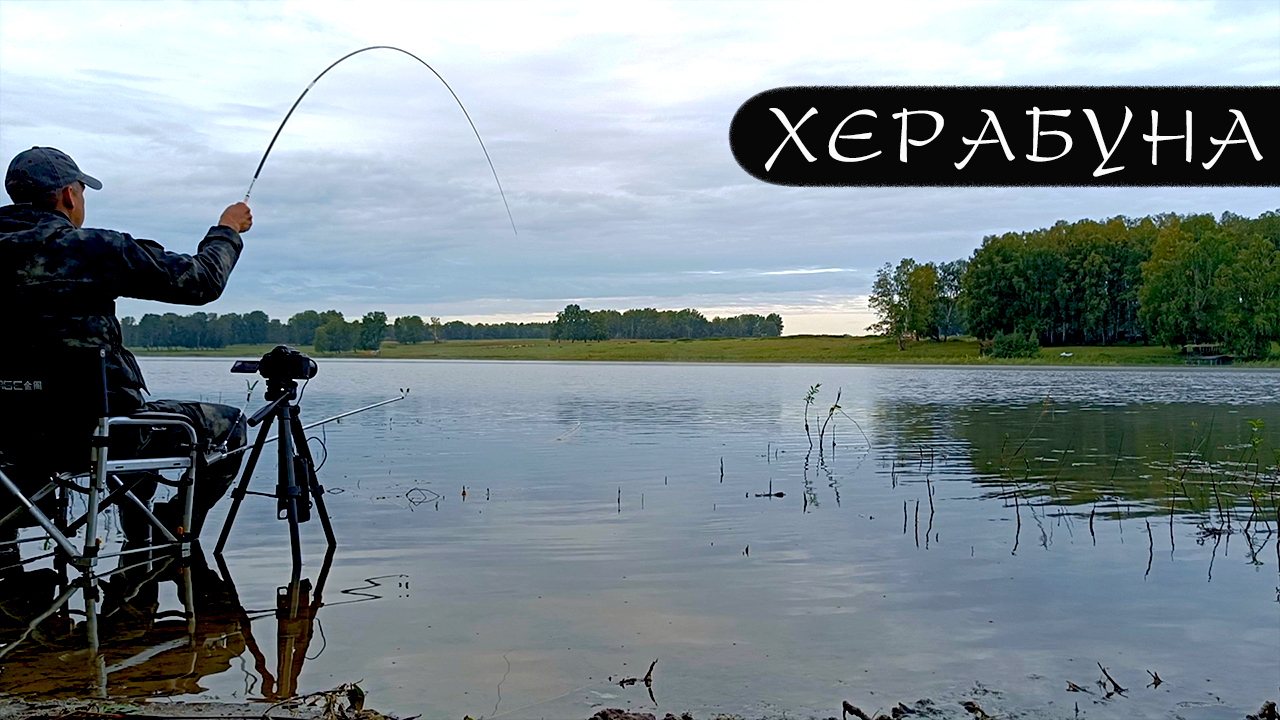 ОСЕНЬ.ЧЕСНОК И анис рулят! Поводок для «КОРЕИ»