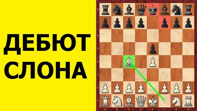 Шахматы. 4 БЫСТРЫХ МАТА в ДЕБЮТЕ СЛОНА. Школа шахмат d4-d5.