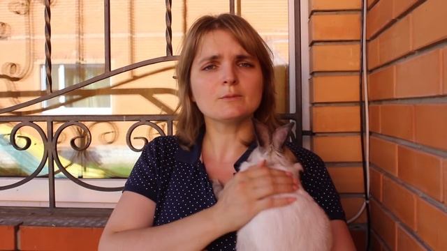 Хомки переехали