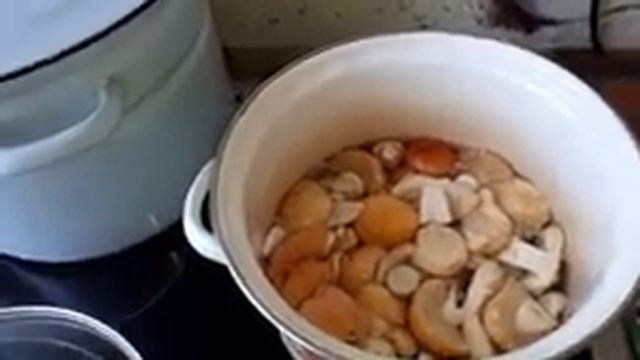 Солёные Сыроежки вкуснее Груздей!