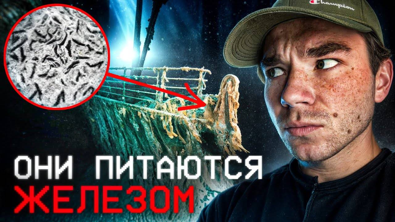 Что нашли на пропавшем корабле? | Кого боится нарвал? | Что значит красная вода? | РазМИШления