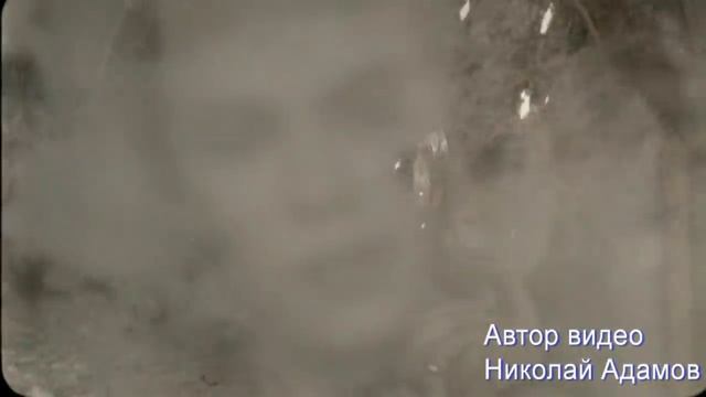 Вот это песня ! За душу берёт !!! Слушайте, наслаждайтесь !Алик Бендерский _ Ты меня подожди _