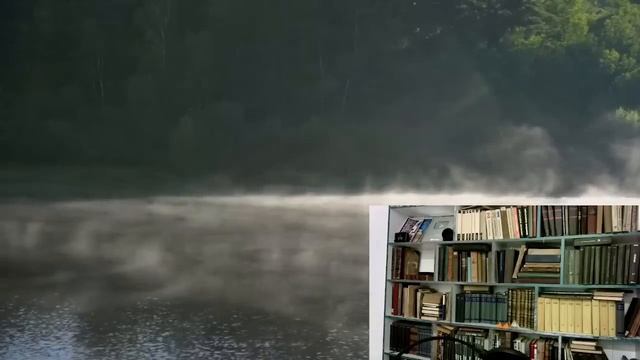 Настоящая Мощная Матрица ЖКТ и Мочеполовой Системы.