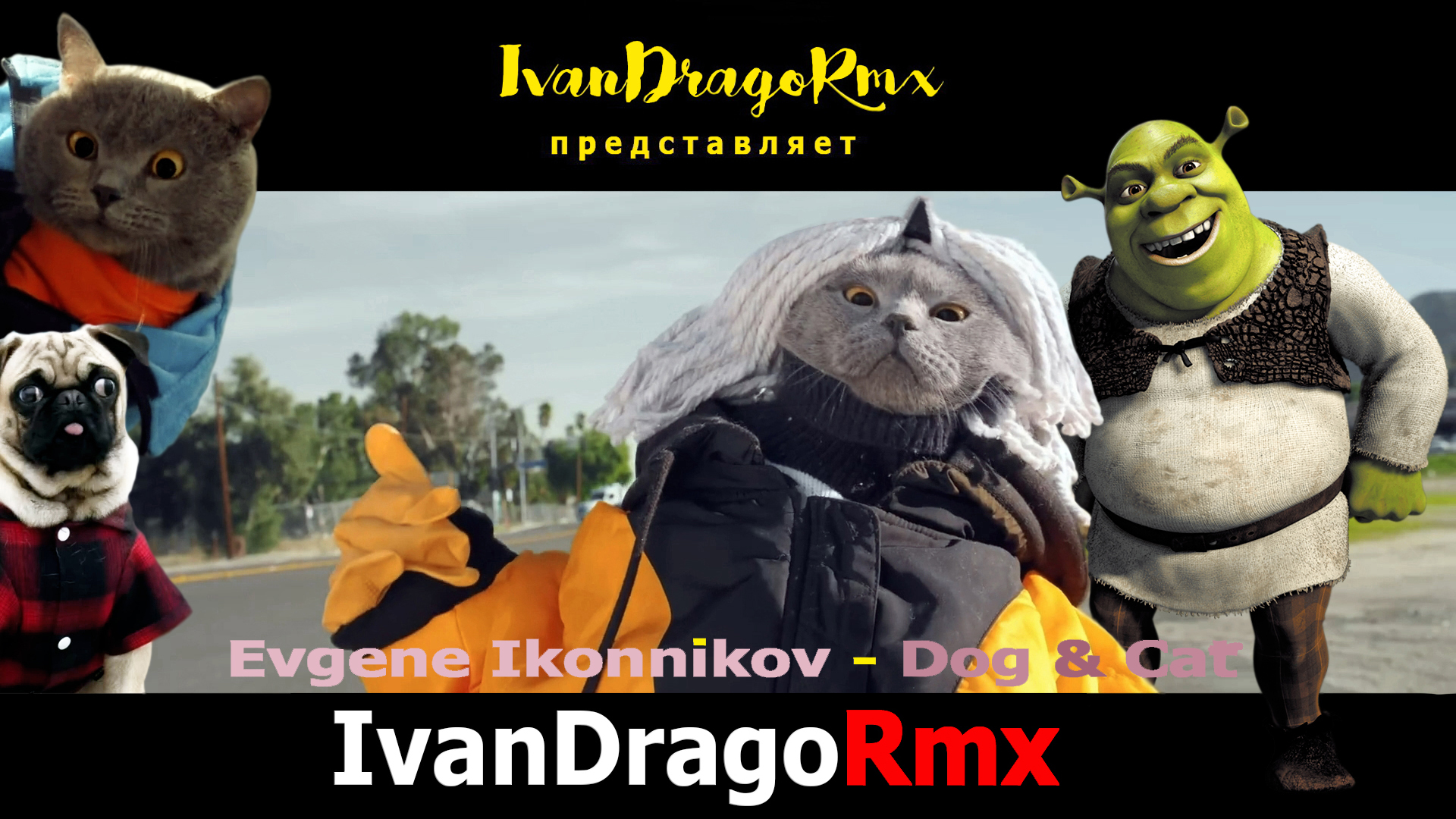 Evgene Ikonnikov & IvanDragoRmx - Dog & Cat
