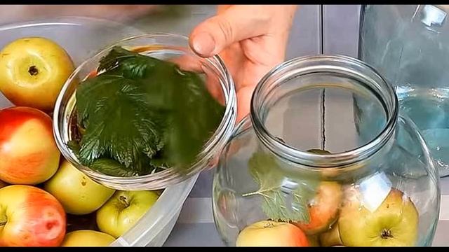 Моченые яблоки рецепт. Как сделать моченые яблоки в домашних условиях