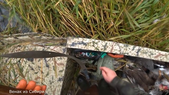 В непогоду попали на чумовой лет северной утки!.mp4