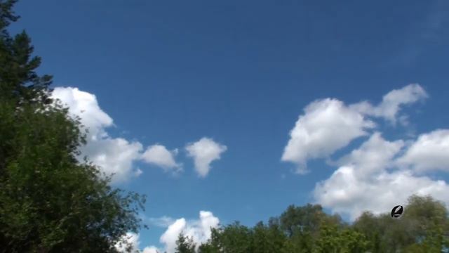 ЦЕЛИТЕЛЬНЫЙ НАСТРОЙ ГЕОРГИЯ СЫТИНА - Радость жизни. Видео от ТаГоры