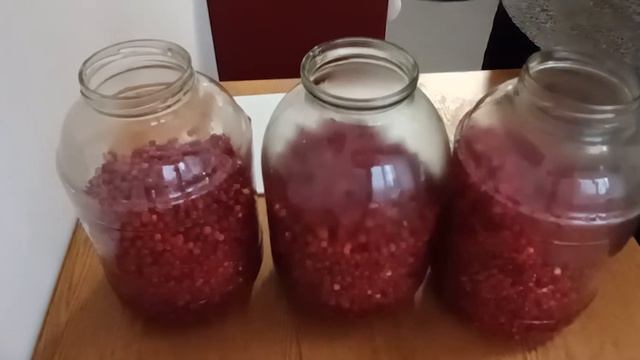 Брусника на зиму. Брусника в сиропе.