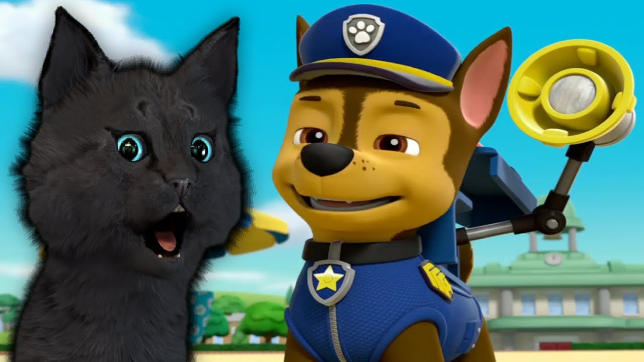СУПЕР КОТ И СУПЕР СОБАКИ СПАСАЕМ ДЖЕКА В ГОРАХ У НЕГО НОЖКА БОБО #4 ? Mighty Pups Save Adventure Bay