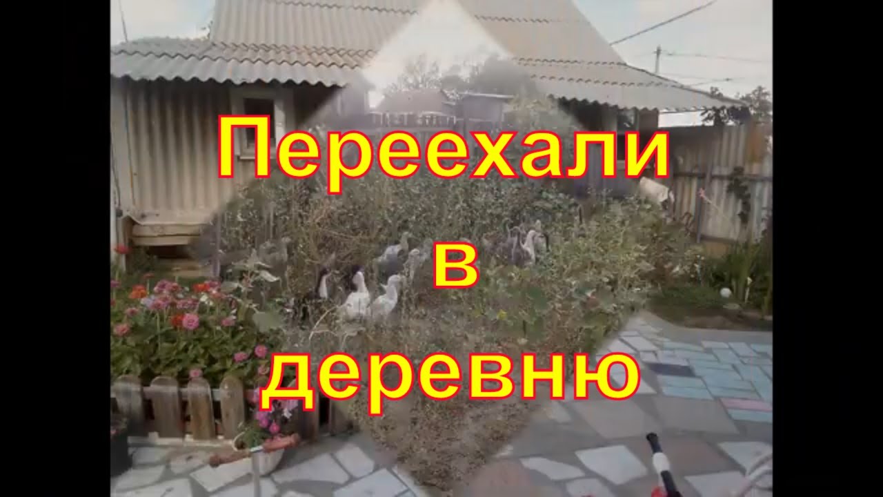 Жизнь в деревне .... плюсы и минусы... как развиваться и на что жить..