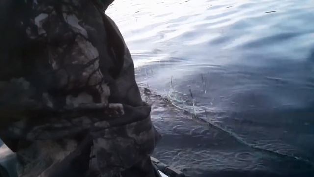 Ловля рыбы сетями.