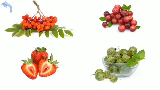 Карточки Домана Часть 9 Ягоды