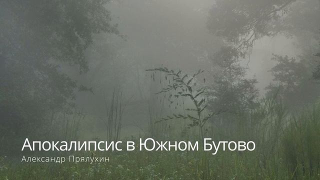Аудио рассказ. Фантастика