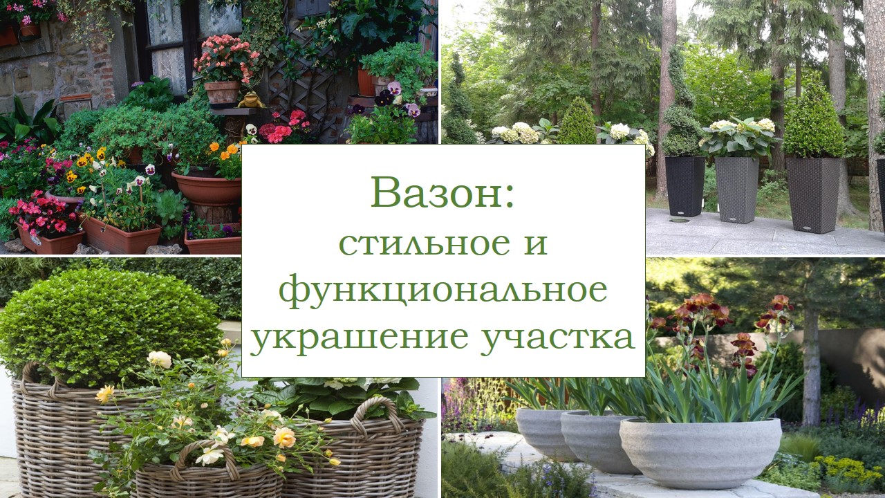 Как использовать вазоны в ландшафтном дизайне участка