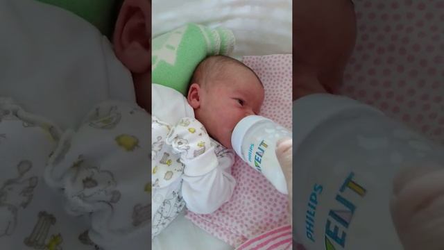 Как накормить новорожденного смесью?