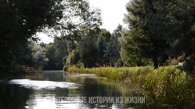 ПОДЛОЖИЛ ЖЕНУ ПОД ДРУГА ПЕРЕД СНОМ. Измена жены. Жизненные истории и аудио рассказы