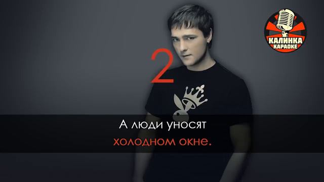 Юрий Шатунов - Белые розы (Караоке)