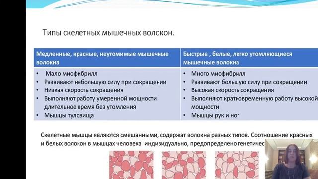 Физическая культура основные понятия