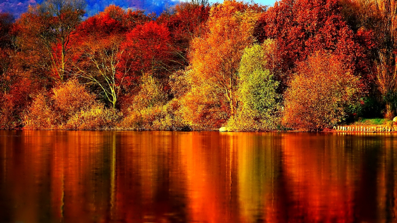 Осенний блюз. – Золотой саксофон / Autumn Blues. – Golden Saxophone • ВидеоКанал «exZotikA»