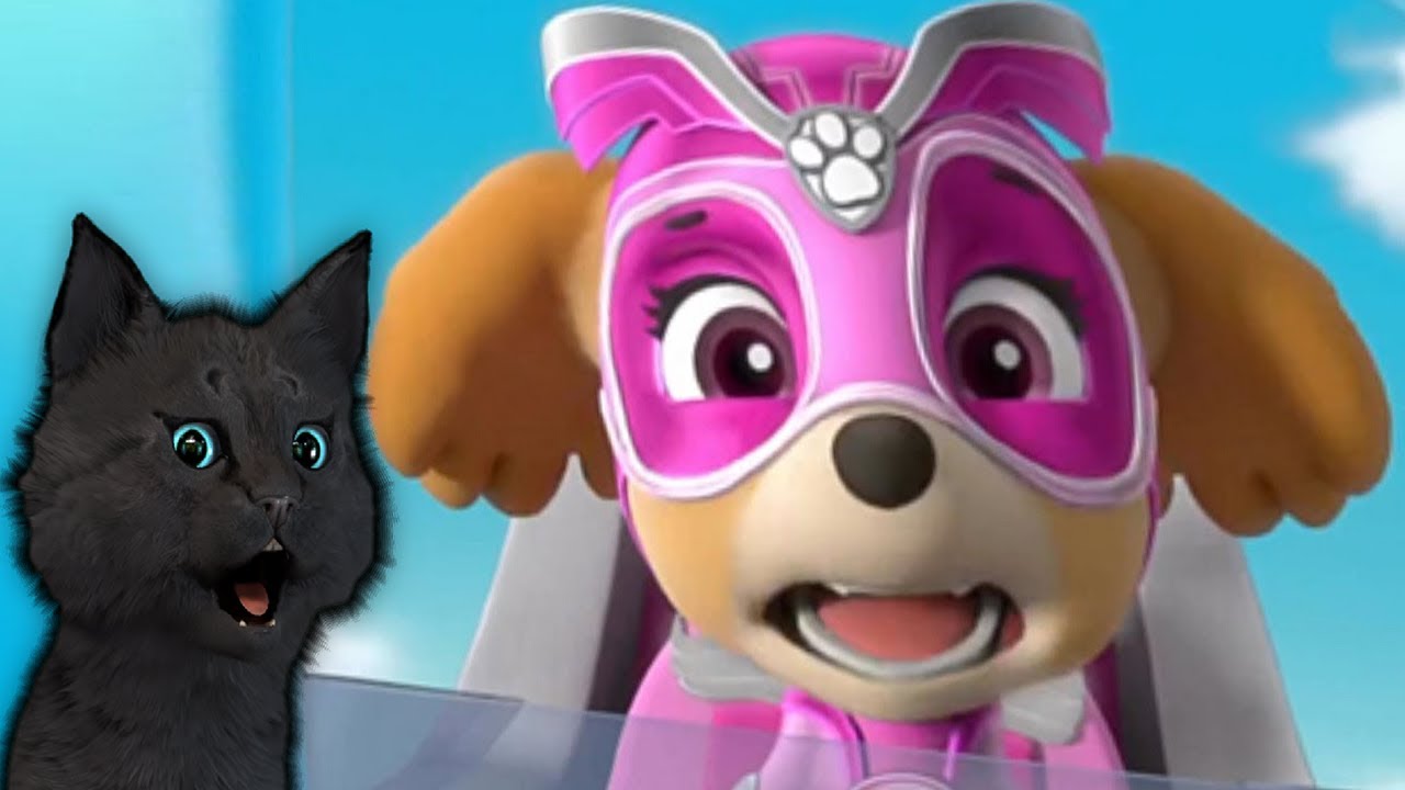 СУПЕР КОТ И СУПЕР СОБАКИ ИГРАЕМ МИНИ ИГРЫ ЛАТАЕМ СО СКАЙ В ГОРЫ #11 ? Mighty Pups Save Adventure Bay