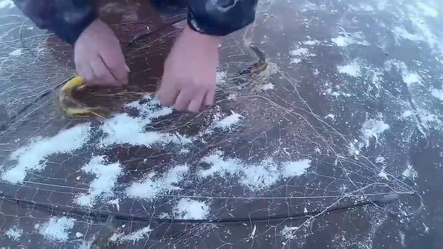 Рыбалка на Хапугу хлопок, зимой  Зимняя рыбалка на Амуре