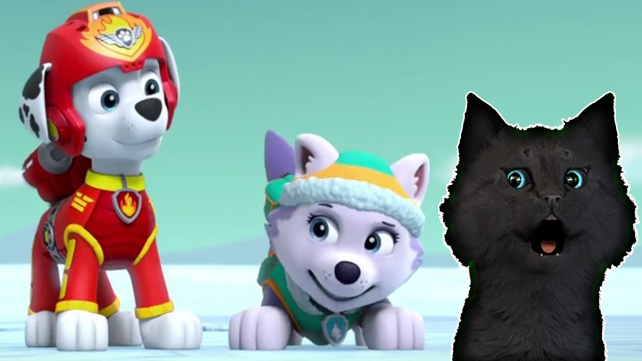 СУПЕР КОТ И СУПЕР СОБАКИ СПАСАЕМ ОБЕЗЬЯНКУ МЭНДИ ИЗ ВУЛКАНА #6 ? Mighty Pups Save Adventure Bay