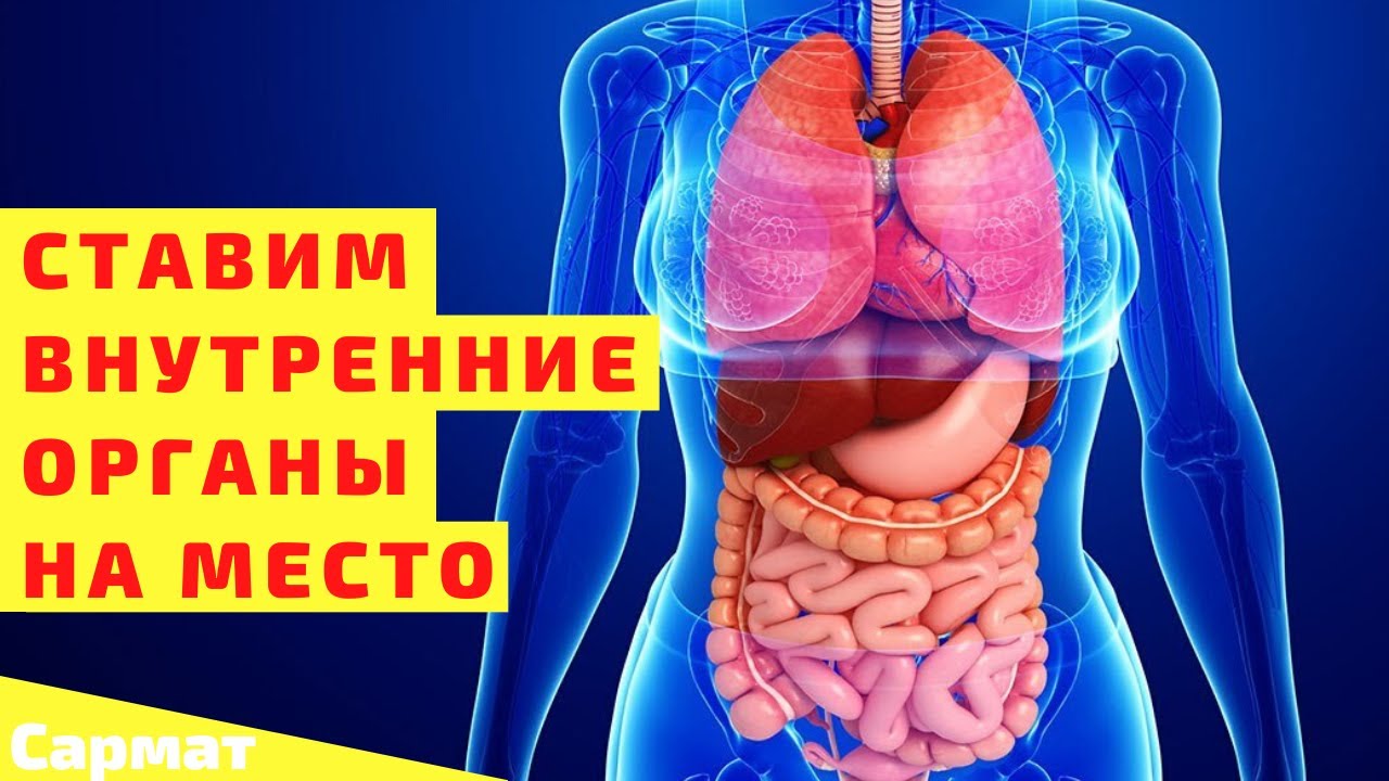 Ставим внутренние органы на место. Простое и очень мощное упражнение