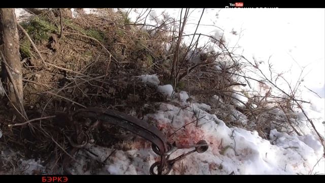 Охота на волка в Якутии / Волк-беглец. Выжить любой ценой./