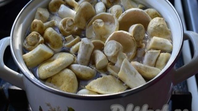 Грузди соленые горячим способом