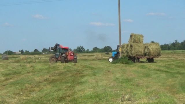 Заготовка сена в СПК "Гигант"