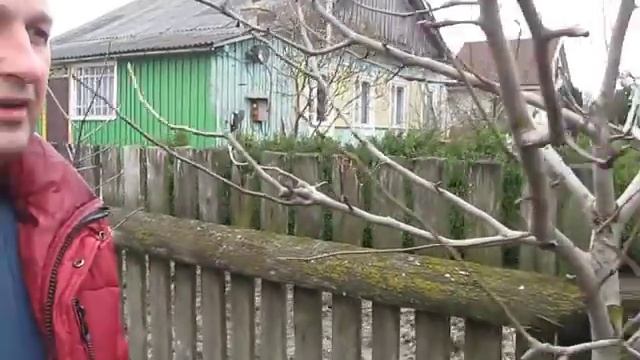 Обрезка груши 4 5 летнего возраста, часть 2
