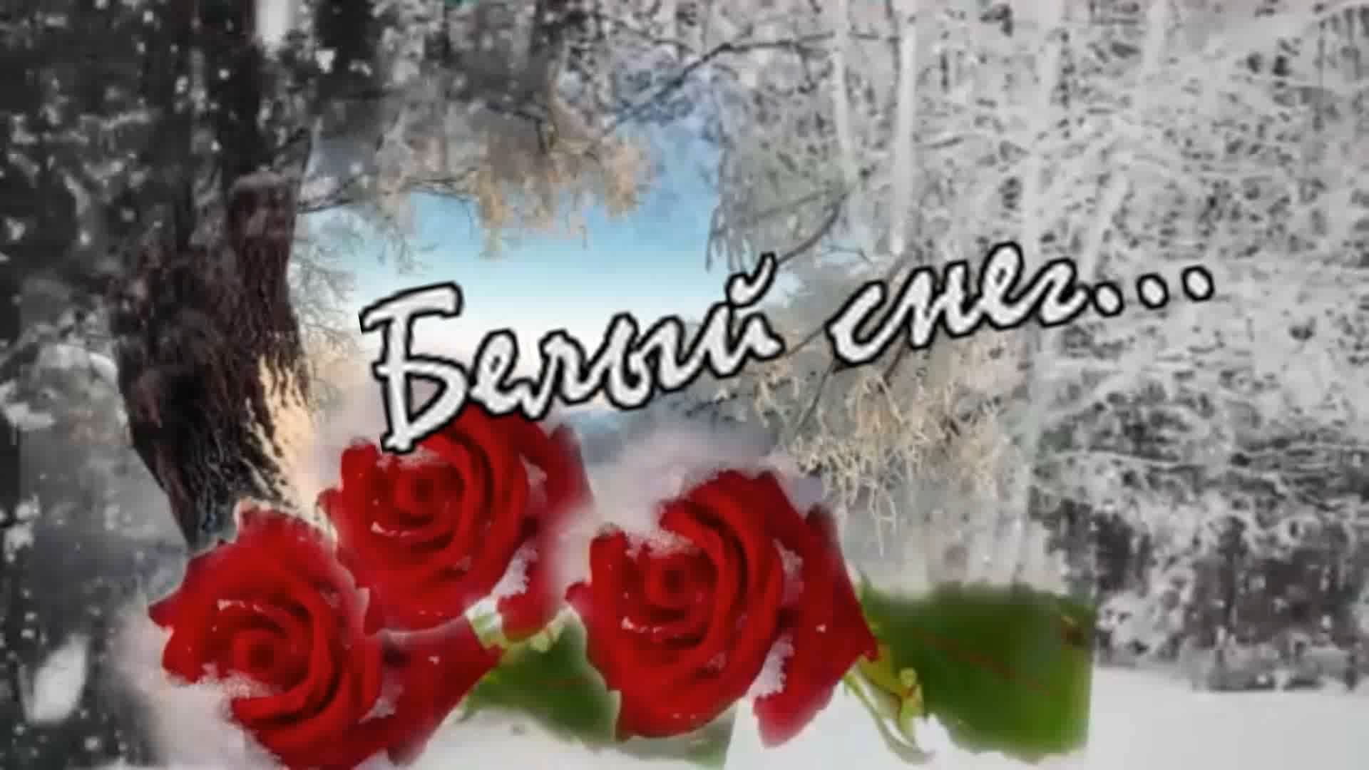 Валерий Залкин - Белый снег...