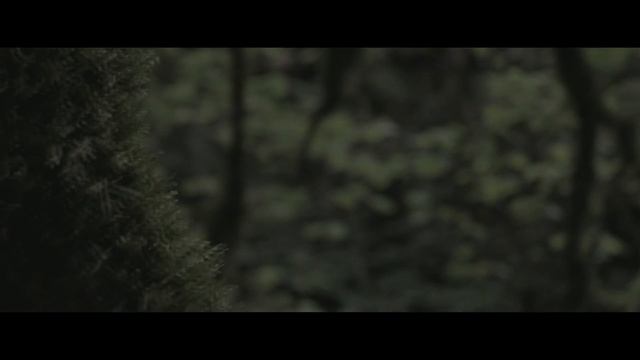 PHARAOH - КЛЮКВА (PROD. BY LAOLVIEZEE)
