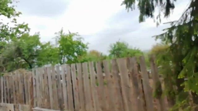 Как Избавиться от ПЛЮЩА НА ОГОРОДЕ? Культивируем заросший огород - убираем плющ. Лютый Фермер