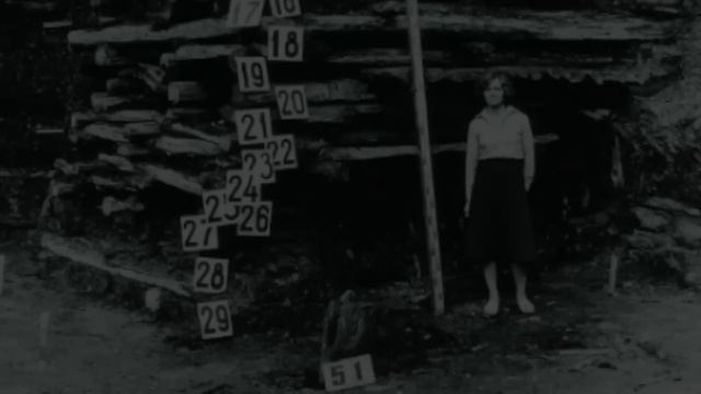 Чудовищная трагедия 19-го века которую скрывают историки